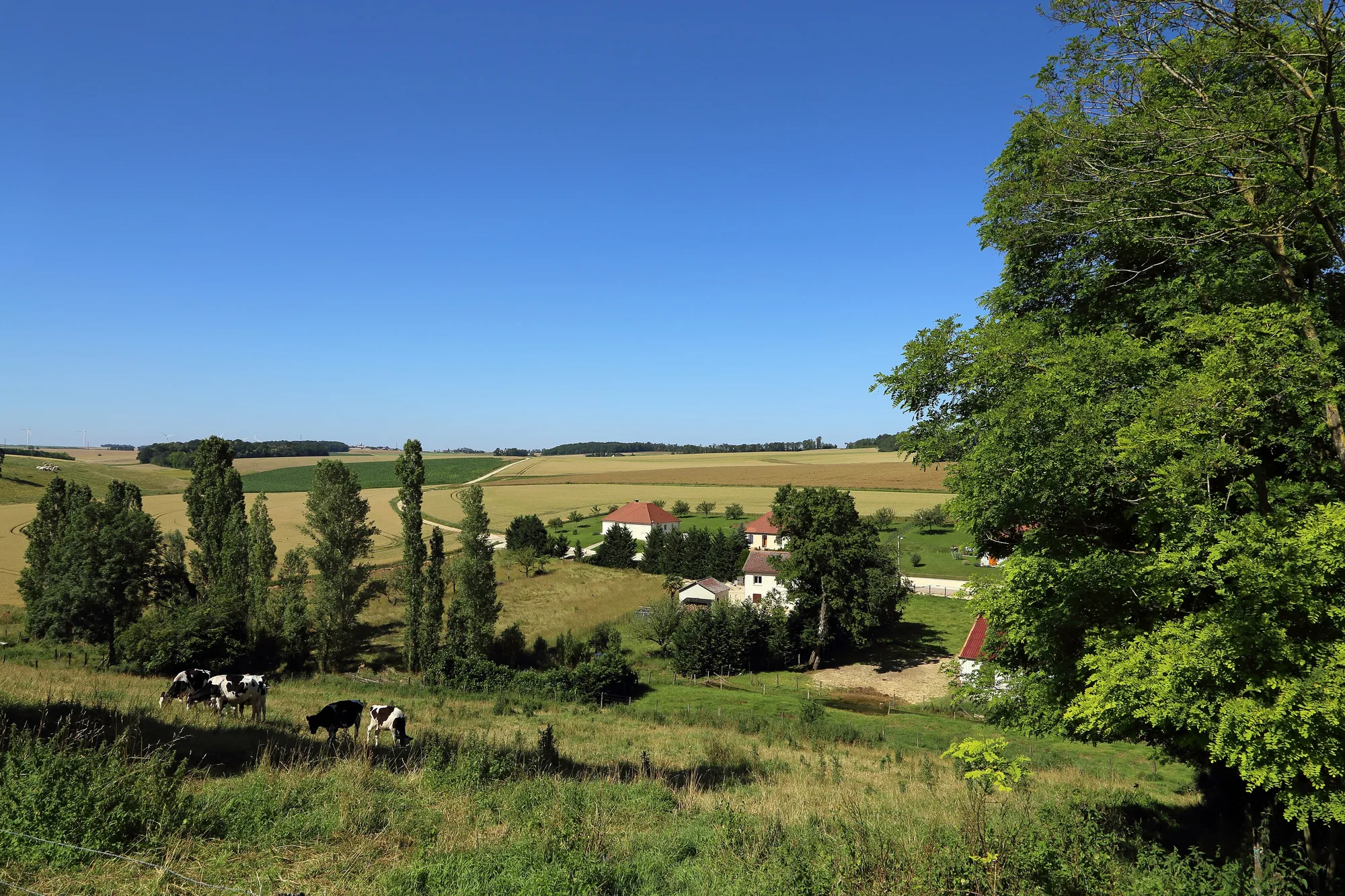 Un paysage de campagne auboise